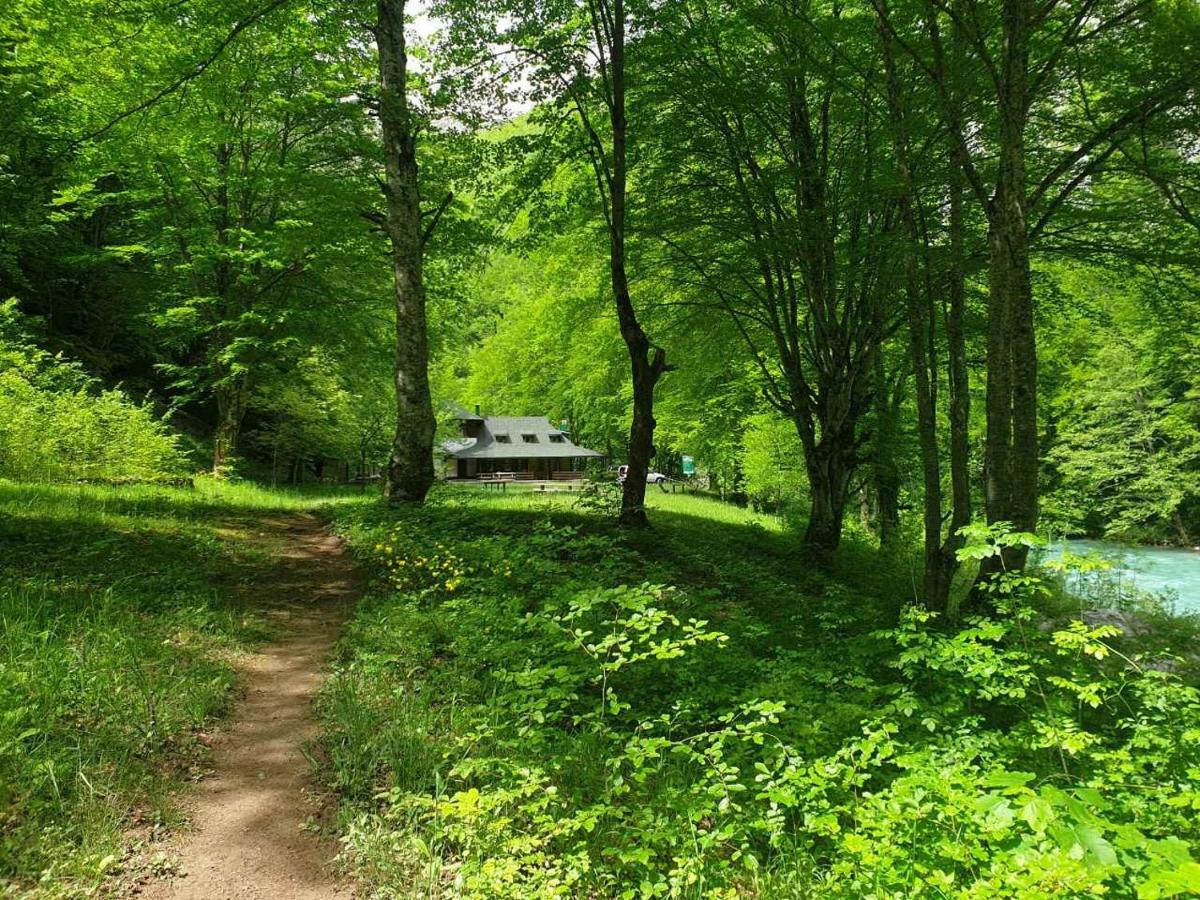 Apartmani Cetkovic Zabljak  Luaran gambar